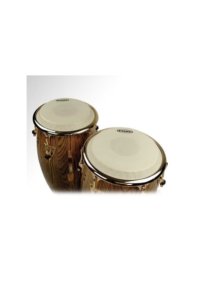 Evans Ec0975 Deri 9 3/4 Tri-center Konga