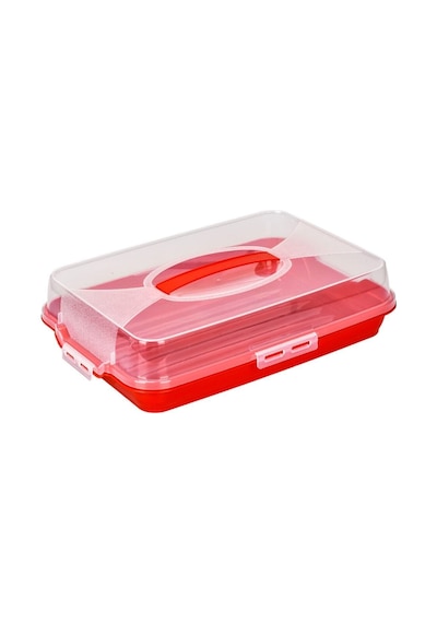 Büyük Boy Kek Kabı Tatlı Saklama Kabı Borcam Kabı 44,5 Cm X 31 Cm X 10,5 Cm Plastik Çok Renkli Diğer