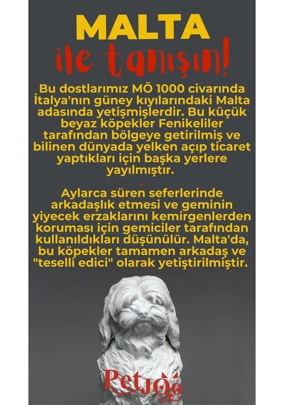 Petjoo 12.Malta Kırmızı-Sarı Qr'lı Köpek Künyesi