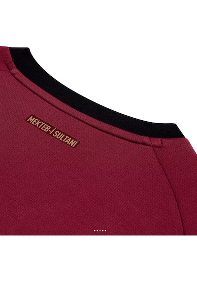 Gsstore Galatasaray 25/26 Erkek Alternatif Forması Uv Ahşap Hediyelik Kutu Kırmızı