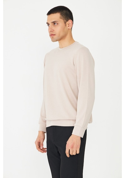 White Stone Bej Basic Bisiklet Yaka Erkek Sweatshirt Taş