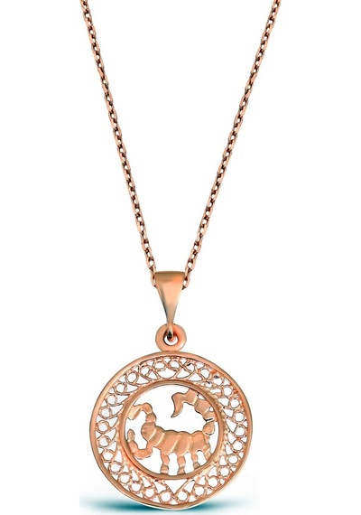 Argentum Concept - Akrep Burcu Gümüş Madalyon Kolye - N136201 (485181285)