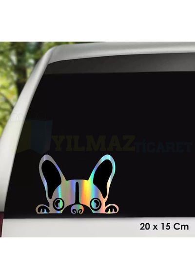 Bakan Köpek Hologram Oto Sticker Etiket Yapıştırma Araba Çıkartma