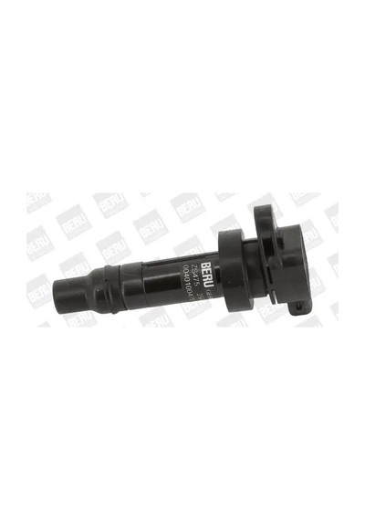 Beru Zs475 Bobin 273012b010