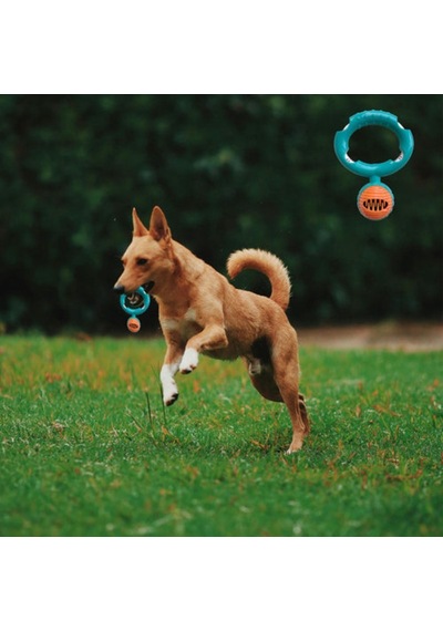 Eğitim Aracı Çiğneme Gereci Eğlence Ürünü Halatlı Disk Köpek Isırma Oyuncağı - Mama Ödüllü Mekanizma