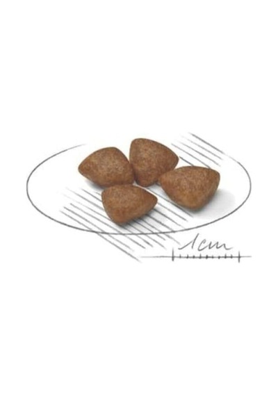 Mini Starter Küçük Irk Anne Ve Yavru Köpek Maması 3 Kg, 778672