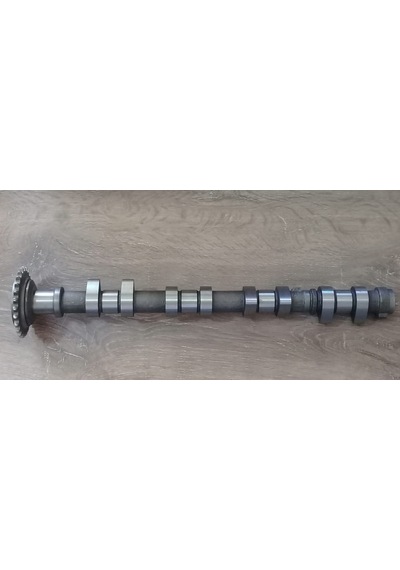 HYUNDAİ ELENTRA EKSANTİRİK MİLİ (EMME) 1996-2000 (24100-23003)