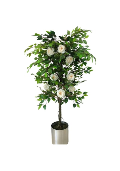 150 Cm Beyaz Gül Ağacı Yeşil