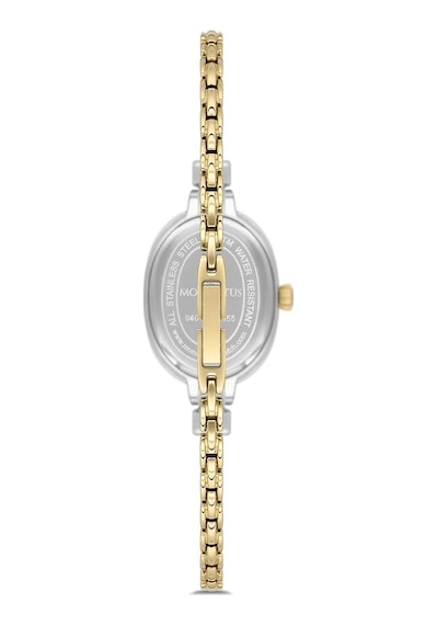 Momentus Women's Shiny Sw294t-02sg Çok Renkli