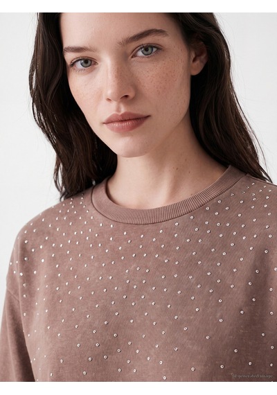 Lcw Comfort Kahverengi Bisiklet Yaka Taşlı Kadın Sweatshirt