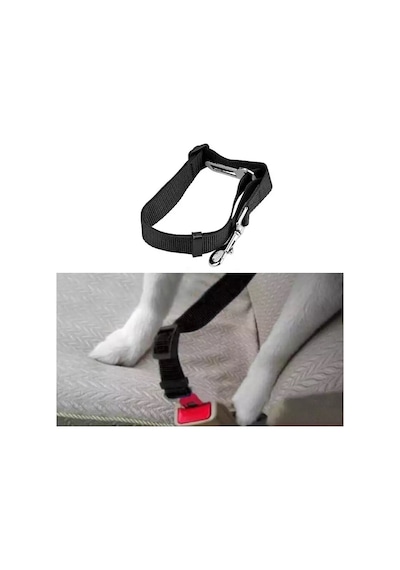 Kedi ve Köpek Araç Emniyet Kemeri Tasması İçi Yavru Evcil Hayvan