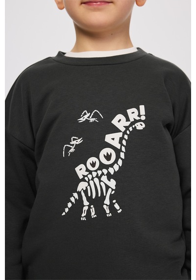 Panço Erkek Çocuk Dinozor Baskı Antrasit Sweatshirt Gri