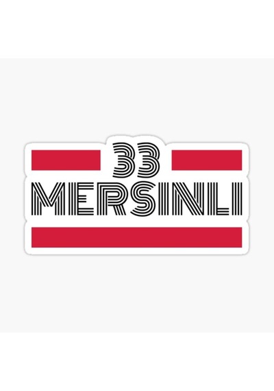33 Mersinli Plaka Araba Sticker Yapıştırması