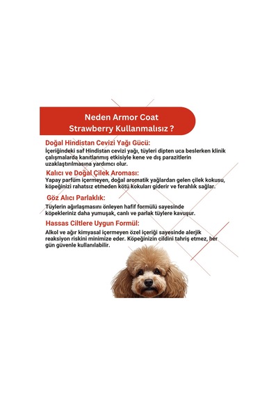Armor Coat Armor Coat Köpek Bakım Spreyi Çilek Kokulu 75 Ml