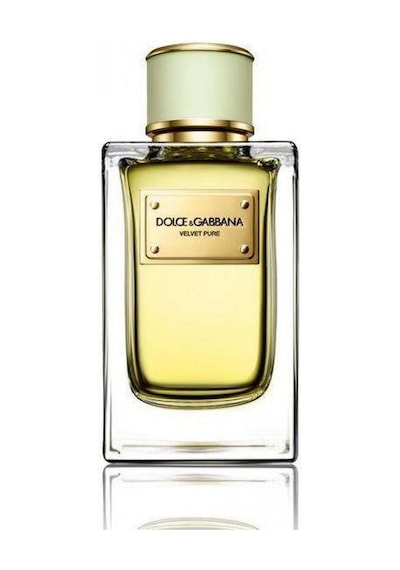 Dolce&Gabbana Velvet Pure Kadın Parfüm EDP 150 ML