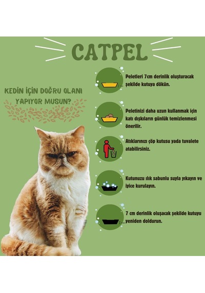 Catpel Çam Peleti Kedi Kumu 10 L