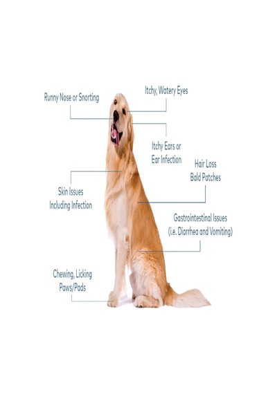 Derm Dog 75 Tablet