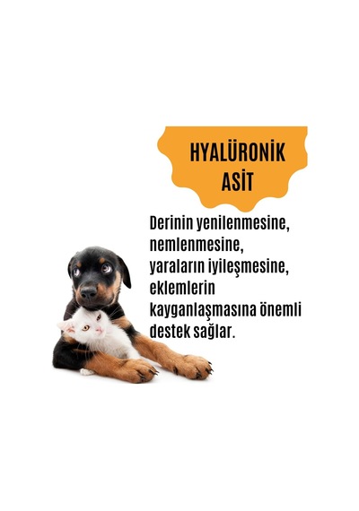 Tüy Dökülmesini Engelleyen Kedi Ve Köpekler İçin Tüy & Deri Güçlendirici Özel Destek Ürünü