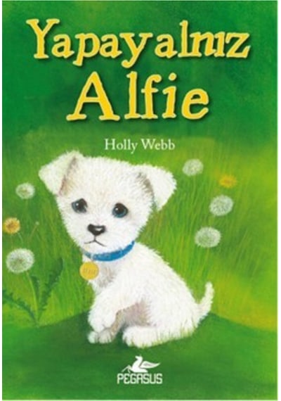 Yapayalnız Alfie