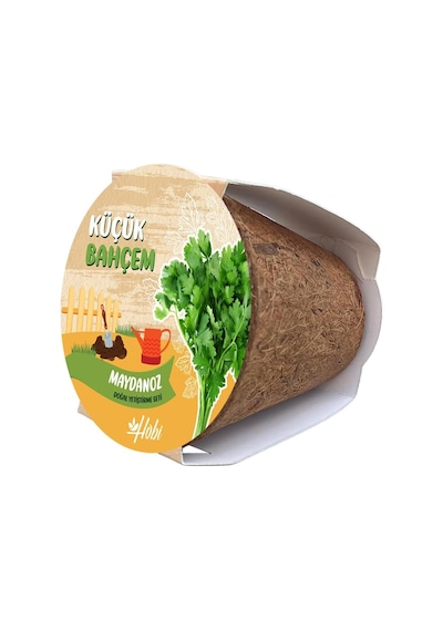 Küçük Bahçem Maydanoz Tohumu Yetiştirme Seti