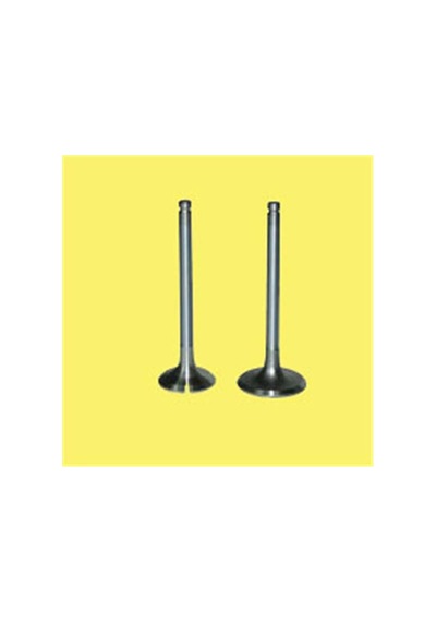 Subap Takımı Gunes 6014-6015 Volkswagen Golf / Bora / Jetta Oem 036109601al
