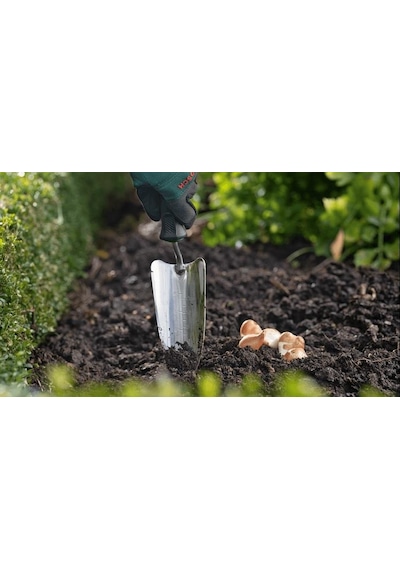 Bosch Ekim Malası - 06008B5800