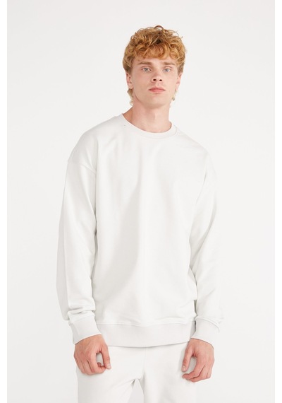 Jepublic Erkek Sweatshirt-j222014 Gri