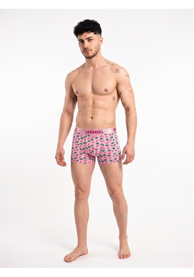 Carnaval Socks Flamingo Desenli Erkek Boxer Pamuklu Likralı Parlak Lastikli Kutulu Pembe Çoklu