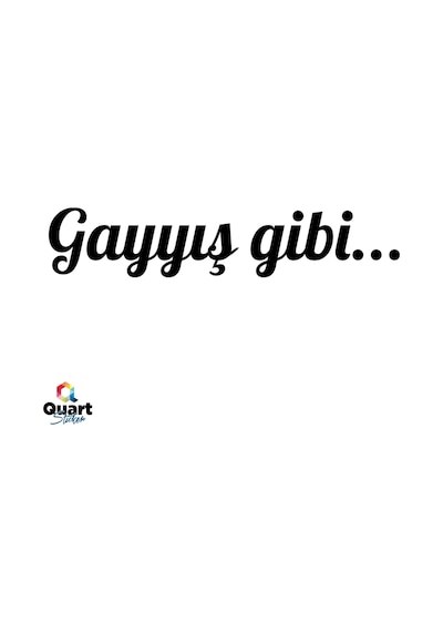 Gayyış Gibi Oto Sticker Araba Cam Sticker