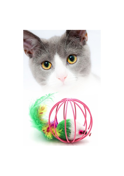 Kedi Oyuncağı Top Içinde Peluş Fare Hareketli Kedi Oyuncağı