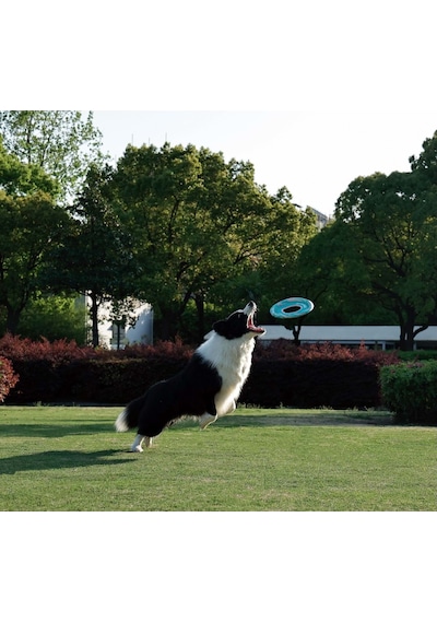 M-pets Sprintpuff Frizbi Köpek Oyuncağı 24 Cm Yeşil