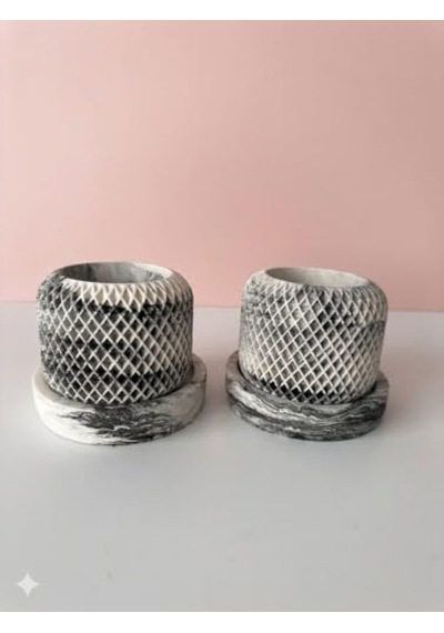 İki Adet Sukulent Beton Saksı, Modern Tasarım