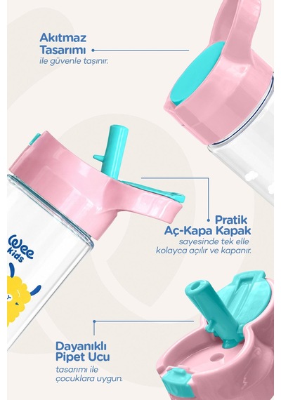 Wee Baby 2 Yaş Kız Doğum Günü Paketi Pembe