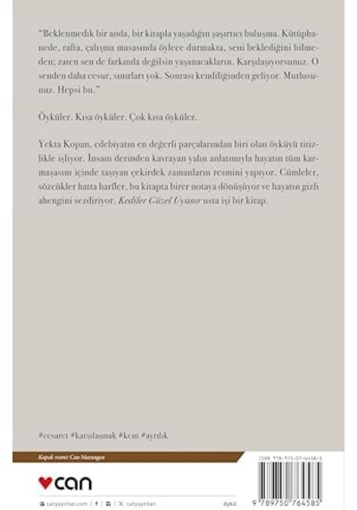 Kediler Güzel Uyanır