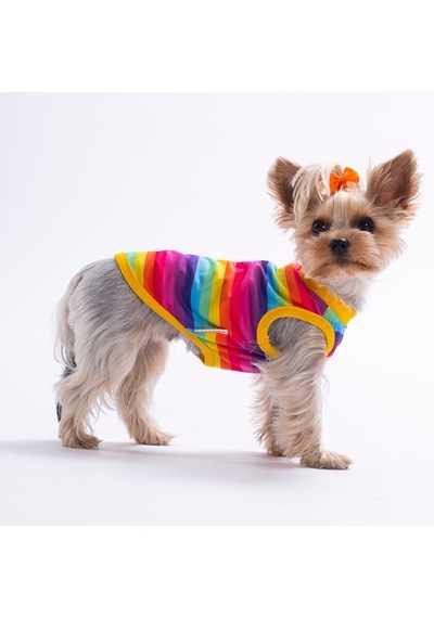 Rainbow Tişört Kedi Köpek Tişörtü-kedi Köpek Kıyafeti