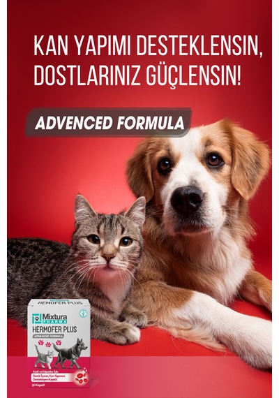 Mixtura Pharma Hemofer Forte Kedi Ve Köpek Kan Ve Demir Vitamini Kansızlığı Önleyici