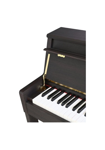 Arsenberg Adp1988r Rosewood Dijital Piyano