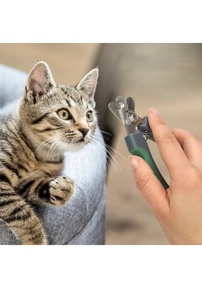 Pet Tırnak Makası Köpek Kedi Tırnak Makası Paslanmaz Çelik Köpek