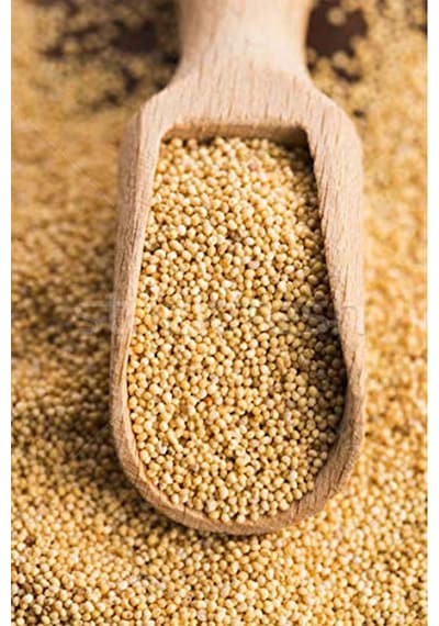 Organik Bitkim Sarı Haşhaş 100 gr