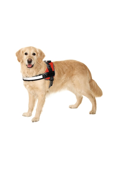 Teflon Reflektörlü, Köpek, İsimli, Göğüs Tasma, M, 65-77 Cm, Siyah