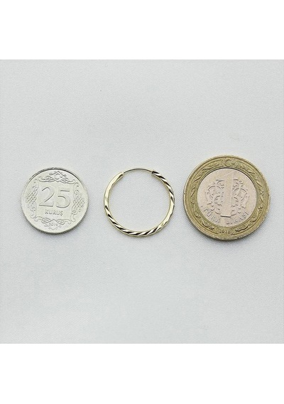 Yelpaze Kalemli Altın Halka Küpe Çapı: 2.20cm Sarı Altın