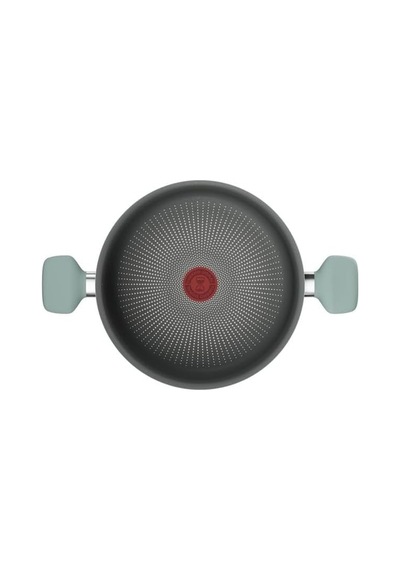Tefal Halo Okaliptus Derin Tencere- 24 Cm 2100143071 Diğer