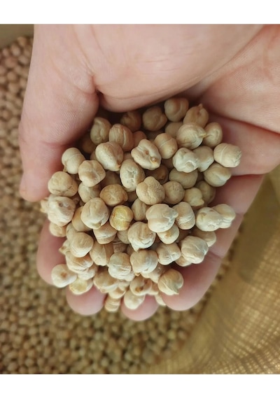 Nohut 20 Kg Katkısız