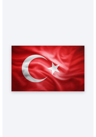 Tam Renk Türk Bayrağı Dekoratif Kanvas Duvar Tablosu Çok Renkli