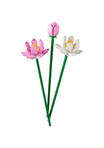 Lotus Çiçekleri Yapım Seti İle Bahçenizi Süsleyin