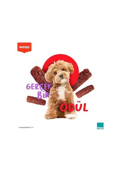 Oven Roasted Gerçek Ördek Fileto 100 G Köpek Ödülü, Küçük Köpekler