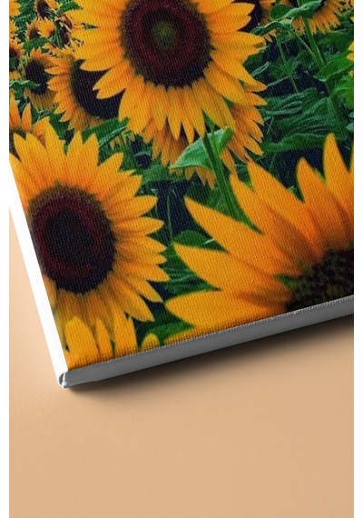Webstyle Sayılarla Boyama Seti Kasnaklı Günebakan Tarlası 40 X 50 Cm