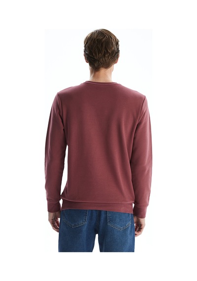 Lcwaıkıkı Basic Pembe Bisiklet Yaka Uzun Kollu Erkek Sweatshirt