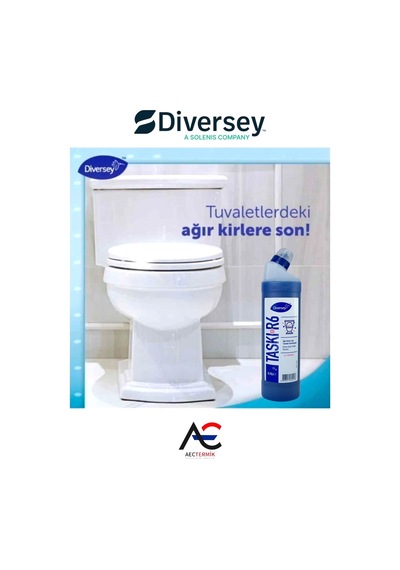 Diversey Tuvalet Temizleyici Taskı R6 Wc 750ml 6 Adet + Hassas Temizlik Süngeri 1 Adet 160gr