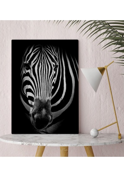 Bk Home Zebra Tasarımlı Kanvas Tablo 30X50Cm-1 (496789478)